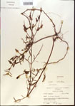000013711-thumbnail.jpg