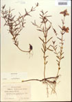 000013712-thumbnail.jpg