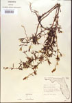 000013713-thumbnail.jpg