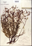 000013714-thumbnail.jpg