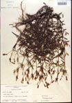 000013715-thumbnail.jpg