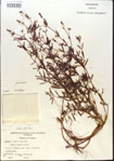000013716-thumbnail.jpg