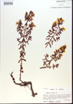 000013718-thumbnail.jpg