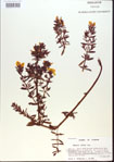 000013719-thumbnail.jpg