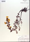 000013720-thumbnail.jpg