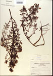 000013721-thumbnail.jpg