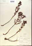 000013723-thumbnail.jpg