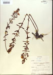 000013724-thumbnail.jpg
