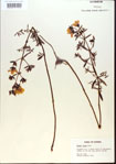 000013725-thumbnail.jpg