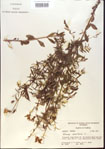 000013727-thumbnail.jpg