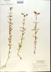 000013728-thumbnail.jpg