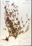 000013729-thumbnail.jpg