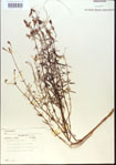 000013730-thumbnail.jpg