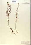 000013733-thumbnail.jpg