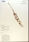 000013734-thumbnail.jpg