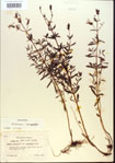 000013735-thumbnail.jpg