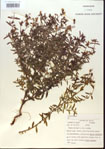 000013736-thumbnail.jpg