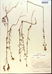 000013737-thumbnail.jpg