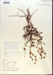 000013738-thumbnail.jpg