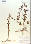 000013739-thumbnail.jpg