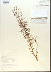 000013740-thumbnail.jpg