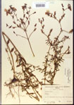 000013743-thumbnail.jpg