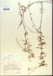 000013744-thumbnail.jpg