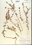 000013745-thumbnail.jpg