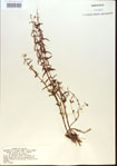 000013748-thumbnail.jpg