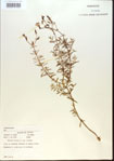 000013749-thumbnail.jpg