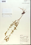 000013750-thumbnail.jpg