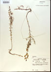 000013751-thumbnail.jpg