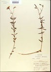 000013752-thumbnail.jpg