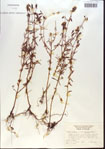 000013753-thumbnail.jpg