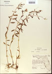 000013754-thumbnail.jpg
