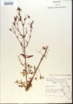 000013755-thumbnail.jpg