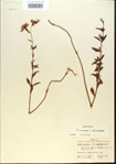 000013756-thumbnail.jpg