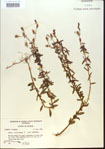 000013757-thumbnail.jpg