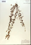 000013759-thumbnail.jpg