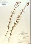 000013760-thumbnail.jpg