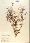 000013762-thumbnail.jpg