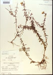 000013763-thumbnail.jpg
