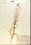000013764-thumbnail.jpg