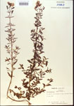 000013766-thumbnail.jpg