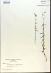 000013767-thumbnail.jpg