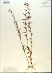 000013769-thumbnail.jpg