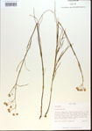 000013798-thumbnail.jpg