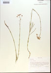 000013799-thumbnail.jpg