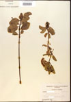 000013853-thumbnail.jpg