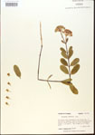 000013854-thumbnail.jpg